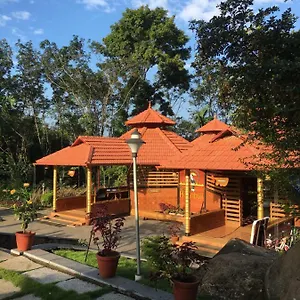 Great Hornbill Serviced , Nilambur Kalikavu