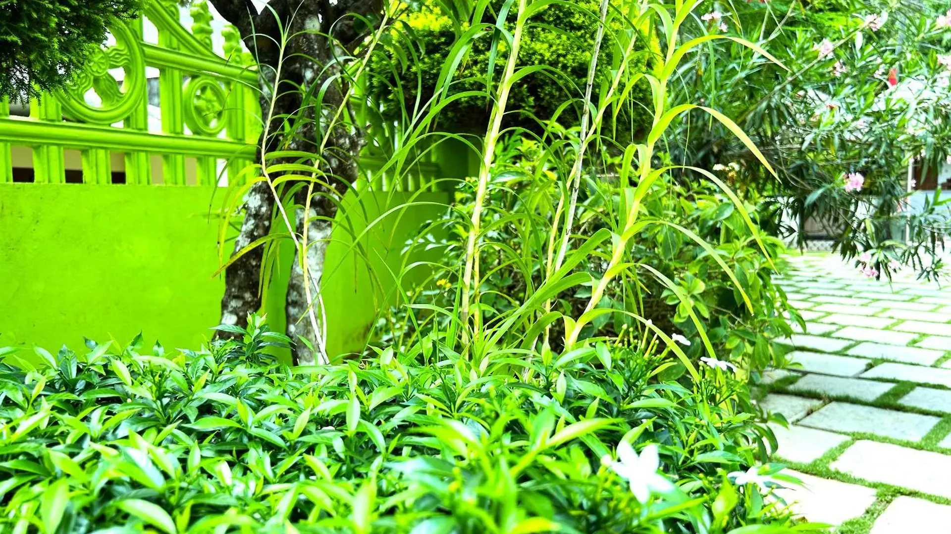 Guest house Deluxe Residency Hotel Kalpetta